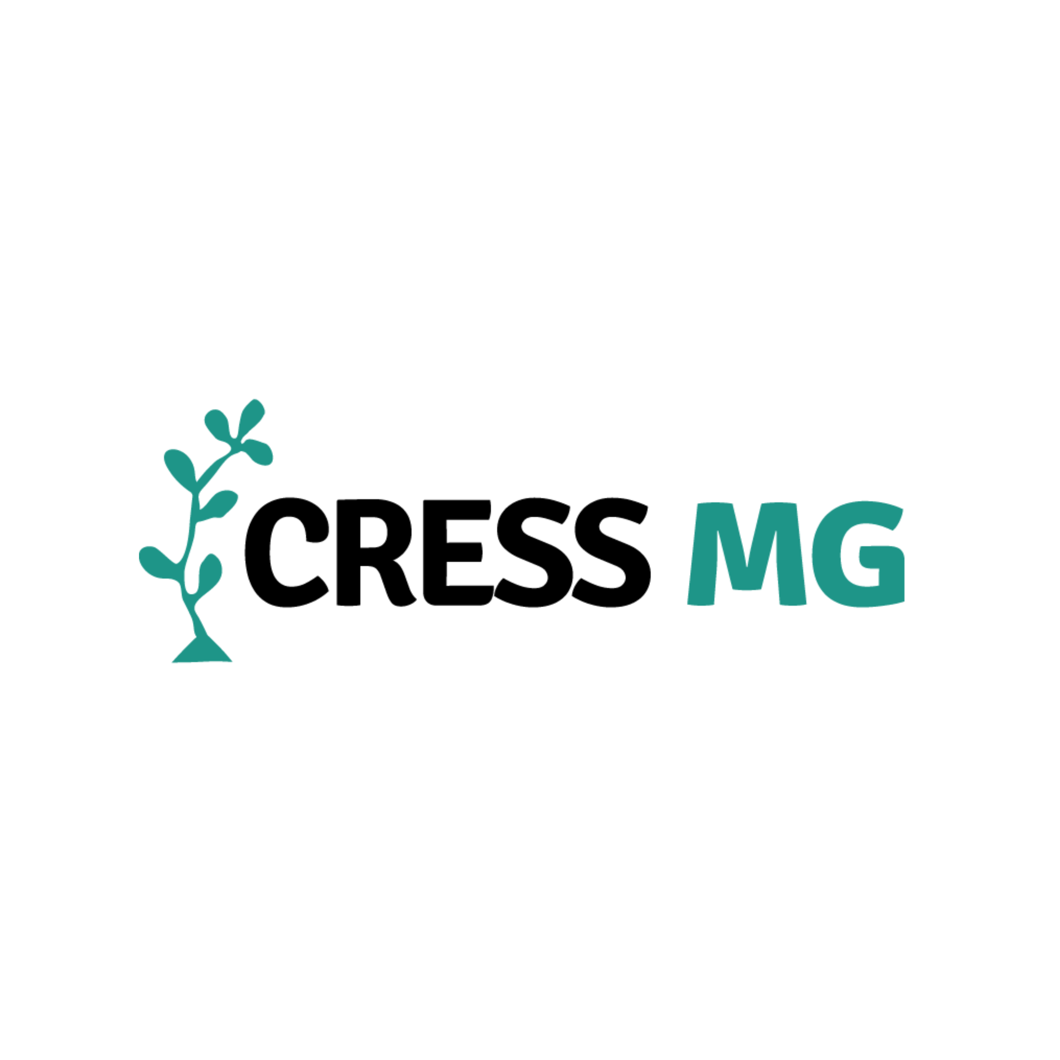 Conselho Regional de Serviço Social de Minas Gerais - CRESS MG